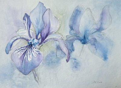 Aquarellbild dreier abstrakter  Irisblüten in Blautönen